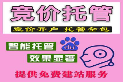 SEM营销推广：案例解读成功秘诀